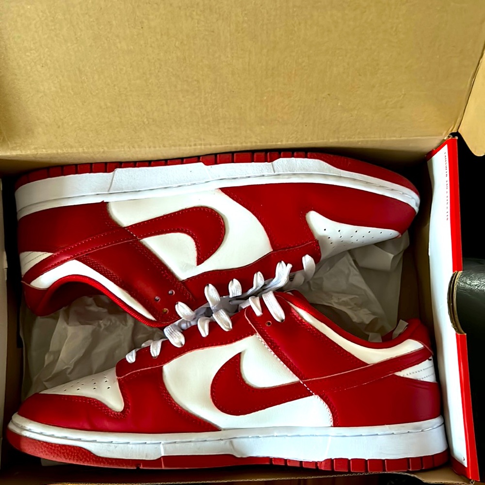 NIKE DUNK LOW RETRO